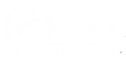 DLCPO Bateria Energia oficial branco logotipo - Profissional lítio bateria fabricante